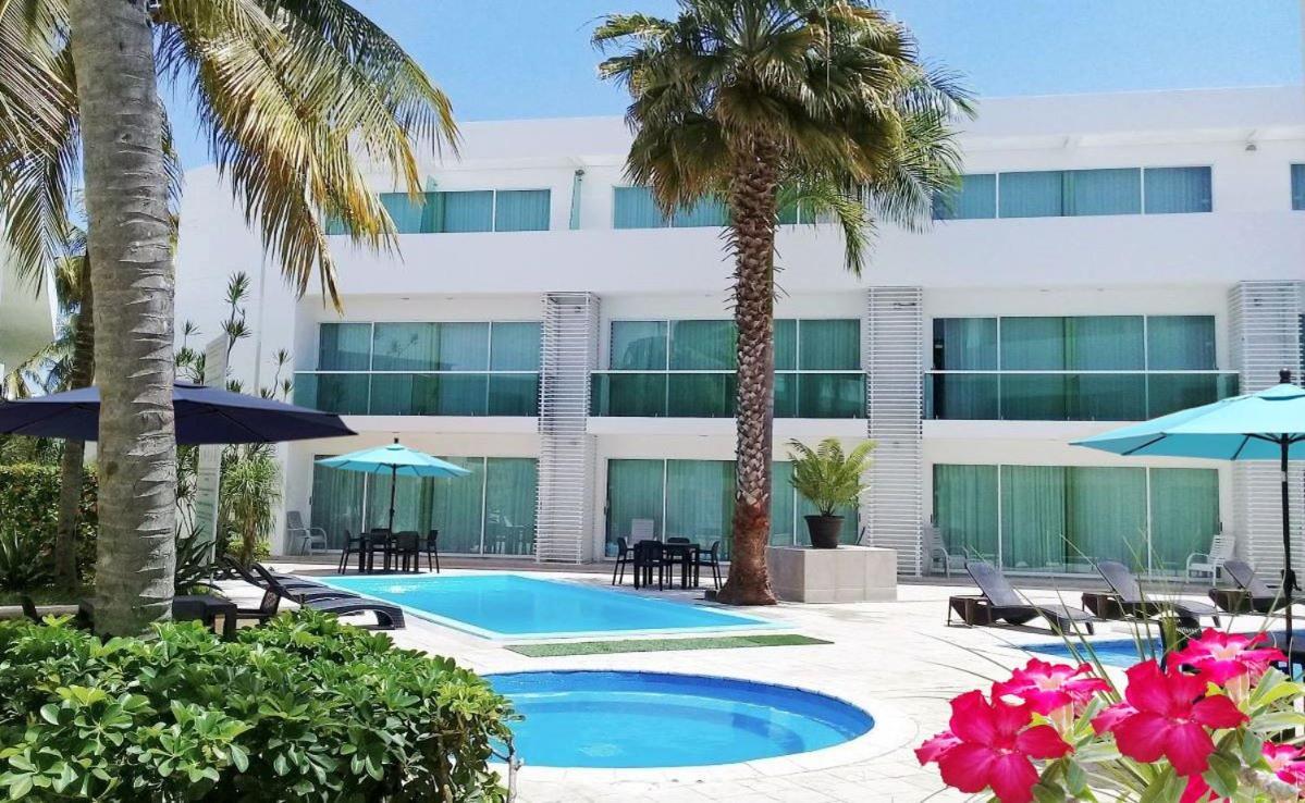 Hotel Los Cocos チェトゥマル エクステリア 写真
